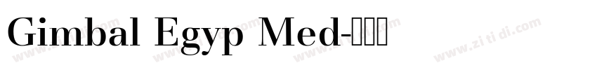 Gimbal Egyp Med字体转换